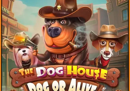 도그 하우스 도그 오어 어라이브