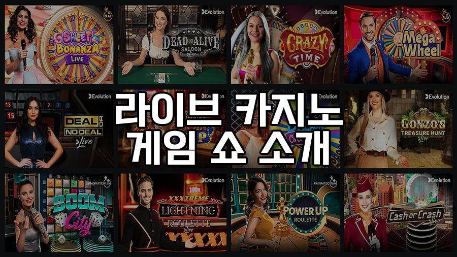 라이브 카지노 게임 쇼 소개