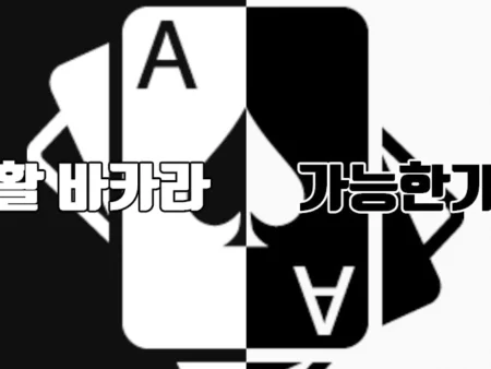 생활 바카라의 모든 것 : 의미, 현실성과 전략