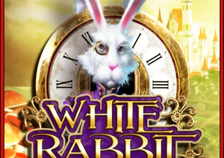 화이트 래빗 메가웨이즈