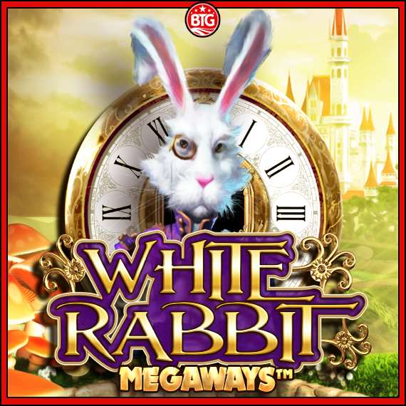 화이트 래빗 메가웨이즈
